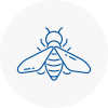 Bee Nest Removal Longton