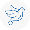 Bird Prevention Longton