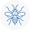 Longton Hornet Nest Removals