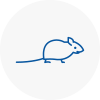 Mice Exterminators In Longton