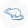 Rat Control Longton