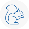 Longton Rodent Removals